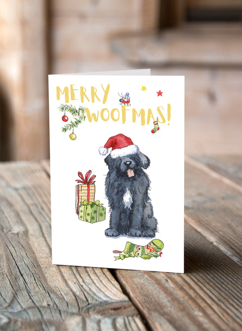Newfoundland Christmas Card